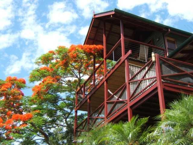 Maleny Tropical Retreat Exterior foto